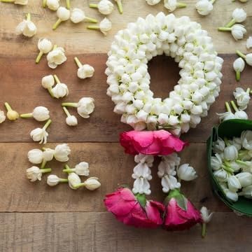 Arabian Jasmine (Jasminum Sambac) - Live, Fragrant, Blooming, Indoor/Outdoor Decorative Plant (4 Arab jas Cups)