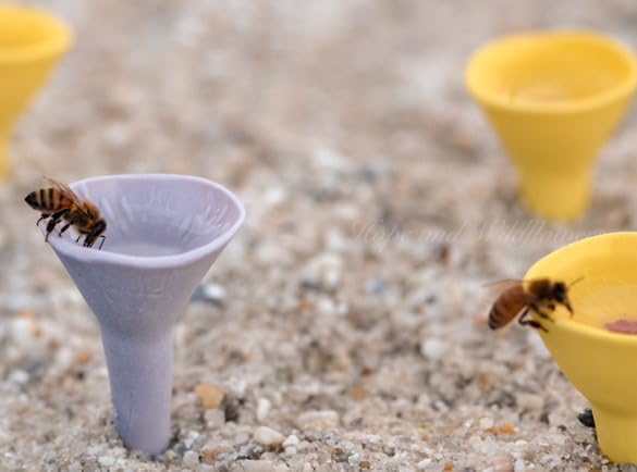 3 Pack, Bee Watering Station, Butterfly Feeder, Bee Feeder, Garden Decor, Bee Decor, Outdoor Garden Decor, Plastic Free, Handmade from Porcelain (3, Passion Flower Purple)
