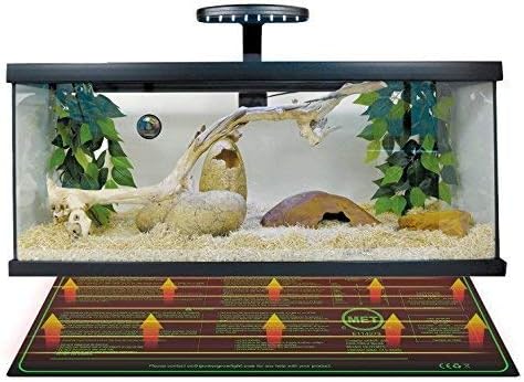 iPower GLHTMTSX2-A 2-Pack 10" x 20.5" Durable Waterproof Seedling Heat Mat Warm Hydroponic Plant Germination Starting Pad, Green