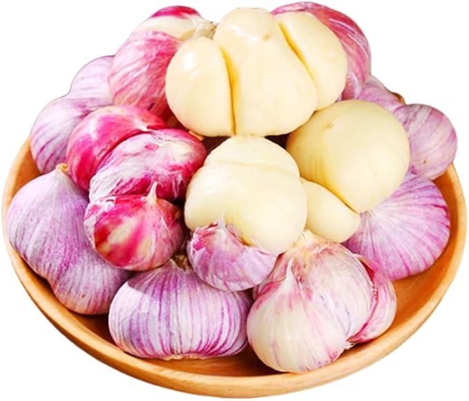 1 Pound Garlic for Planting in Fall Hardneck, 8 Chesnok Red Garlic Bulbs for Planting, Fresh and High Yield Bulb Variety Pack, Hardy and Fast Growing
