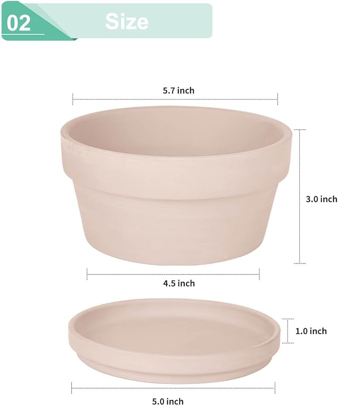 vensovo 5.7 Inch Pink Terracotta Shallow Succulent Pots - 6 Pack Terra Cotta Clay Pot with Saucer, Cacuts Indoor and Outdoor Planters with Drainage Hole