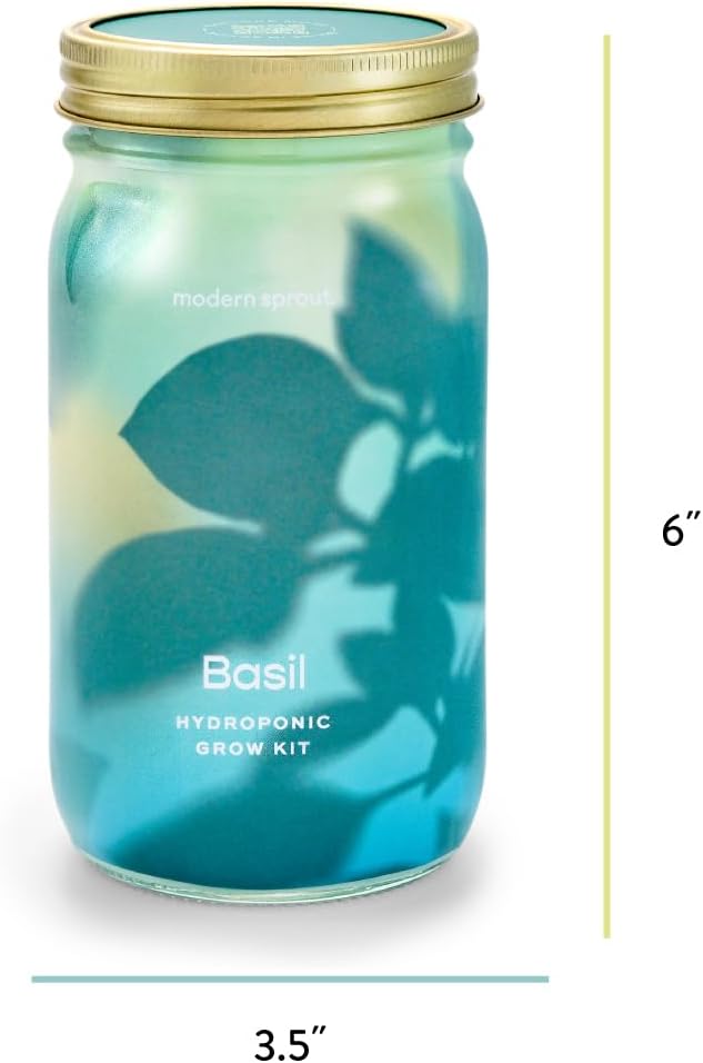 Modern Sprout Mason Garden Jar - Self-Watering Hydroponics Growing System Kit with Organic Herb Seeds - Jar Planter for Indoor Herb Garden - Seed Starter Kit - Home Decor & Gifting - Basil+Mint