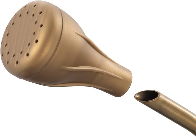 1/2 Gallon 68oz Long Spout Stainless Steel Gold Colored Watering Can for Indoor Plant Watering or Outdoor Gardening with 2 Removable Spray Spout for Flowers, Medium