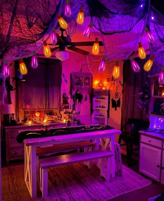10Ft LED Outdoor String Lights, Halloween Orange Purple Lights with 10 0.6W ST40 LED Bulbs, Waterproof Connectable Patio Lights for Indoor Outdoor Backyard Garden Halloween Christmas Holiday Decor