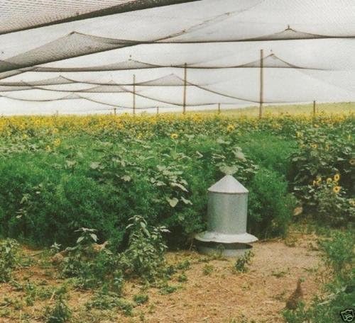 Poultry Netting 1" or 2" Mesh Heavy Knotted Nets Aviary Gamefowl Quail Chicken Bird Block Net Long Lasting Break/Burst 85/245 lb Polyethylene 8-10 Year Lifespan (25' X 25', 1)