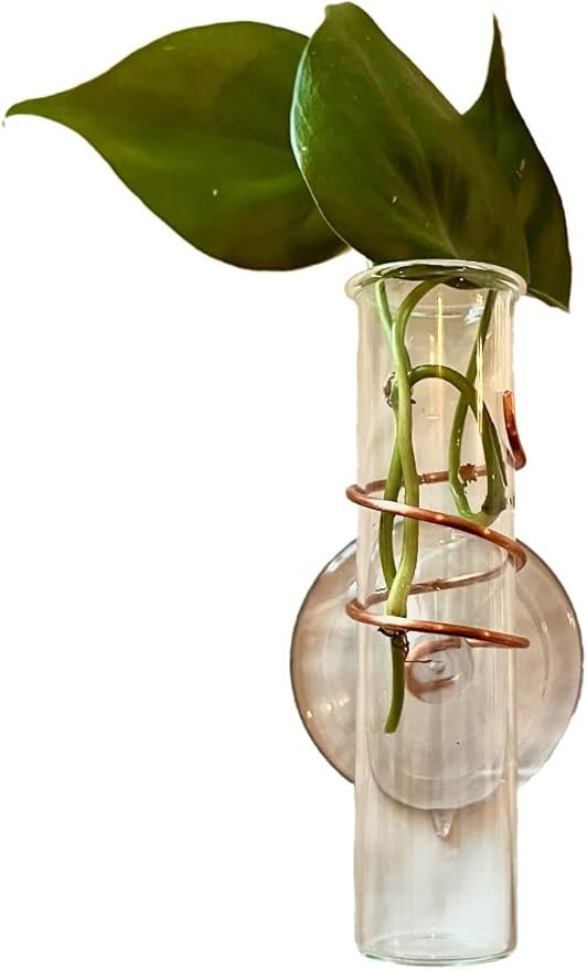 The Little Window Propagator- Window Plant Propagation Station with Removable Glass Test Tubes, Indoor Clippings, Cut Flowers, Herbs, Succulents | Home Decor | Plant Lover Gift