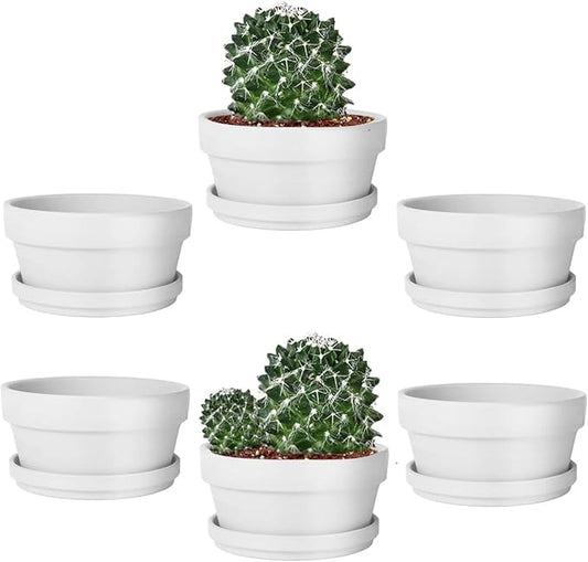 vensovo 5.7 Inch White Terracotta Shallow Succulent Pots - 6 Pack Terra Cotta Clay Pot with Saucer, Cacuts Indoor and Outdoor Planters with Drainage Hole