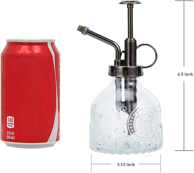 Glass Plant Mister Spray Bottle, 6.5" Tall Vintage Plant Spritzer Watering Can, Succulent Watering Bottle with Top Pump, Small Plant Sprayer Mister for Indoor Outdoor Houseplant - Clear