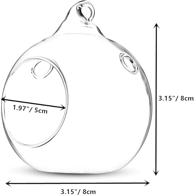 12 Pcs 3.15"/ 8cm Hanging Glass Tealight Holder Globe Plant Terrariums Glass Orbs Air Plants Tea Light Candle Holders Home Decor Indoor Outdoor Garden (with 2 Holes, 9 Pcs + 3 Pcs)