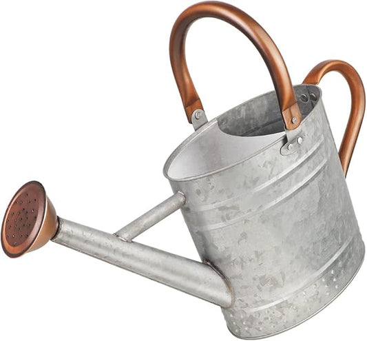 1 Gallon Metal Watering Can with Removable Spout, Nice Galvanized Steel Water Can with Embossed Design for Indoor and Outdoor Plants