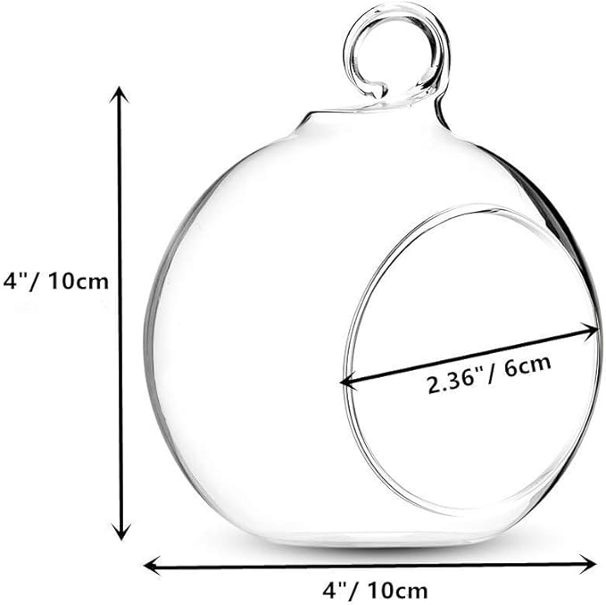 Set of 12 Air Plant Holder Hanging Glass Globe Tea Light Candle Holders Home Wedding Party Centerpieces Decor Indoor Outdoor Tealight Candleholders (12Pcs 4 inches Diameter)