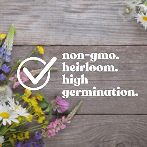 Wildflower Seed Bulk, 3 Oz. (80,000+ Seeds) – 19 Non-GMO Flower Seeds for Shade, Annual & Perennial Wild Flowers Mix for Partial Shade – Shade Tolerant by Mountain Valley Seed