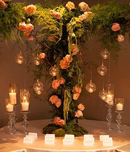 24 Pcs 3.15"/ 8cm Hanging Glass Tealight Holder Globe, Plant Terrariums Glass Orbs, Air Plants Tea Light Candle Holders, Home Decor Indoor Outdoor Garden (20 Pcs + 4 Pcs)