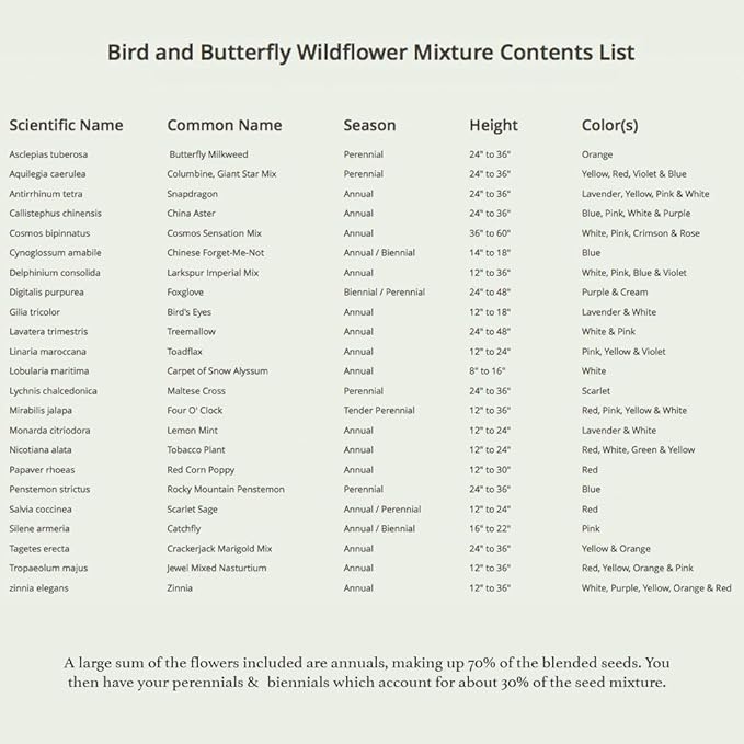 Seed Needs Wildflower Seeds Hummingbird and Butterfly Seed Mix | 5 Packs (1 Ounce Each) No Filler 23 Varieties Garden Seeds Annual & Perennial Species | Pollinator Attracting Flower Seed | Bulk