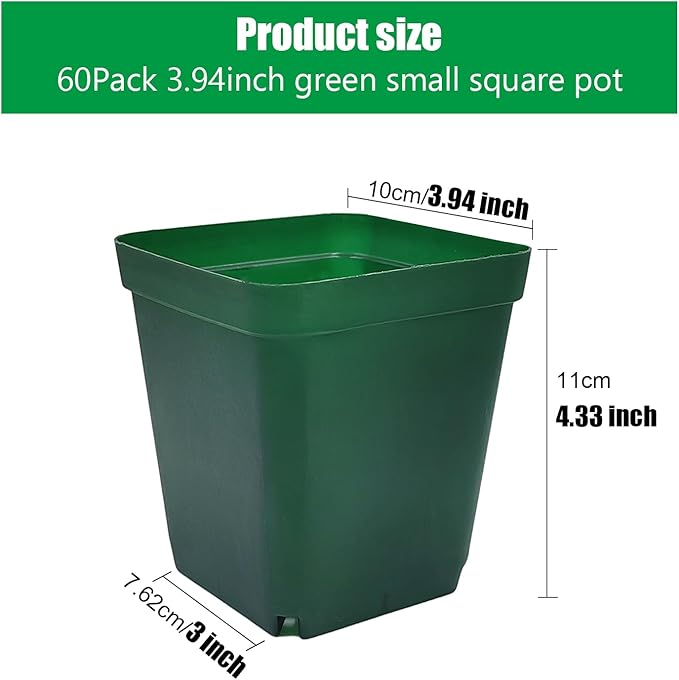 Square Nursery Succulent Pots 4 Inches 60 Pcs Deep Flower Plant Nursery Seedling Grow Pots Plastic with Drainage (Green, 4Inches, 60Pcs)