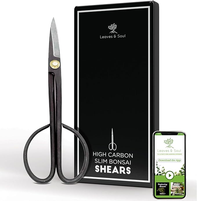 Professional Bonsai Slim Scissors | Pruning Shears for Trimming Plants | Japanese Gardening, Bonsai Tools | Garden Scissors