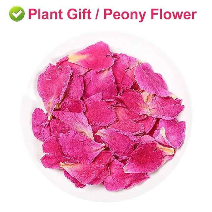 Plant Gift Peony Flower Petals 30G/1.05oz 芍药花 Herbaceous Peony Tea, Pure Herbal Tea, Peach Blossom Tea, Caffeine-Free, No GMOs, Chinese Tea