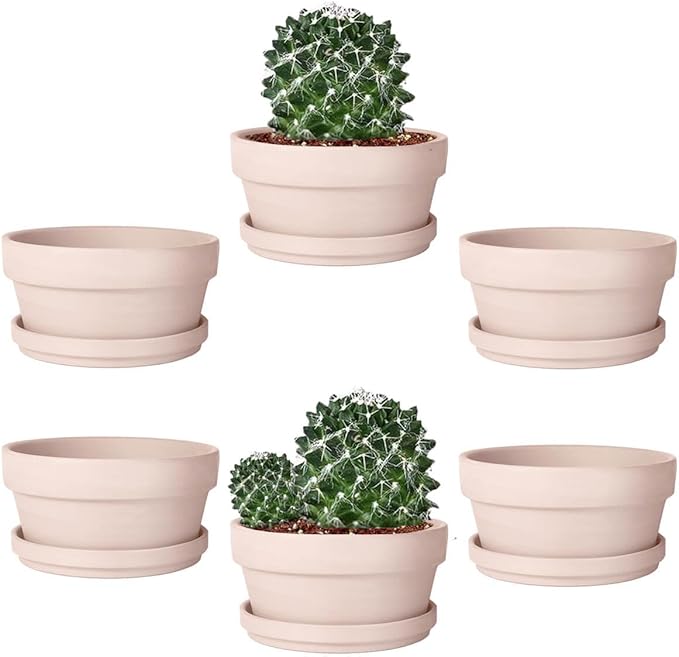 vensovo 5.7 Inch Pink Terracotta Shallow Succulent Pots - 6 Pack Terra Cotta Clay Pot with Saucer, Cacuts Indoor and Outdoor Planters with Drainage Hole