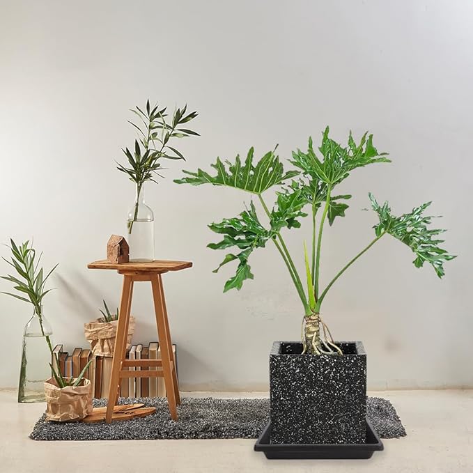 Square Plant Saucer 6 Inch 4 Pack 8 10 12 14 16 18 20 inch Plant Drip Trays, Plant Trays for Pots, Plant Saucers for Indoors and Outdoors, Durable No Holes, Water Catcher Tray for Flower pots