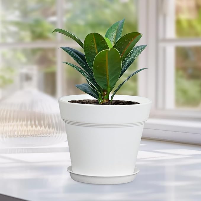 4 inch Small Plastic Nursery Pots, Seedling Pots, 16 Pack Plant Pots for Indoor Outdoor Plants, Flower Pots with Drainage Holes and Saucers, Decorative Planters for House Plants, White