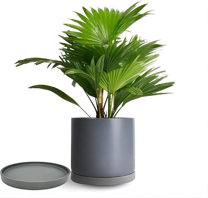 Ceramic Plant Saucer Pot Tray 12 Inch, Planter Saucers 4 5 6 7 8 9 10 11 12 13 Inch for Indoors Outdoor, Durable Sturdy Flower Drainage drip Water Tray for Glazed Pots Base (12.7 Inch-Grey)