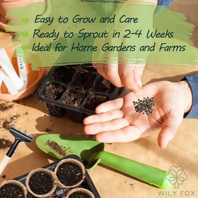 Premium Rare Hollyhock Seeds – 100+ Double Red Hollyhock Flower Seeds – Non-GMO, Heirloom Perennial – Showy Blooms for Outdoor Planting (Dwarf Double Red Hollyhock)