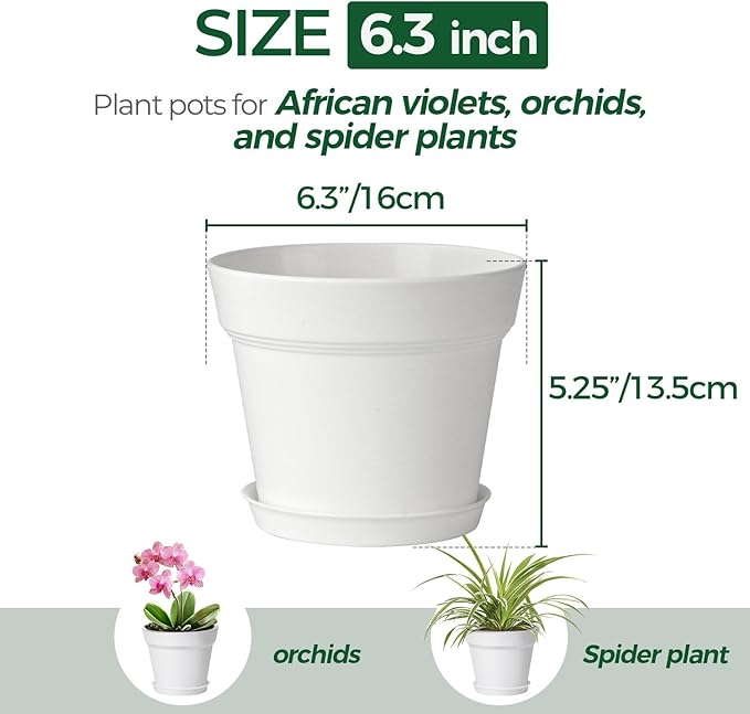 T4U 6 Inch Plant Pot 8-Pack, Plastic Planter with Drainage Hole and Saucer, Decorative Nursery Pots Bulk for African Violet, Snake Plant, Succulent, Herb and Plants Indoor (8 Pcs 6" Pots, White)