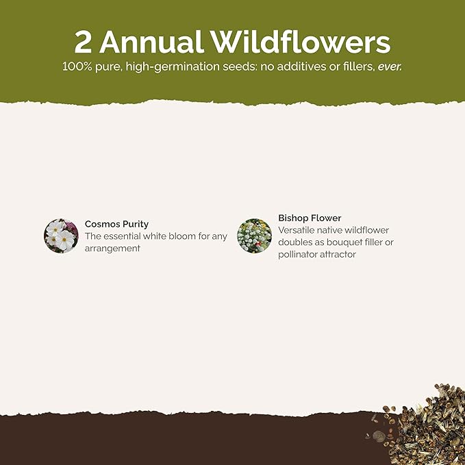 Eden Brothers Moon Garden Flower Mixed Seeds for Planting, 1/4 lb, 120,000+ Seeds with Cosmos Purity, Bishop's Flower | Attracts Pollinators, Plant in Spring or Fall, Zones 3, 4, 5, 6, 7, 8, 9, 10