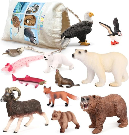 Volnau Safari Animal Figurines Toys 12PCS North America Figures Zoo Pack for Toddlers Kids Christmas Decoration Gift Preschool Educational Bald Eagle Bear Salmon Salamander Jungle Forest Cake Topper
