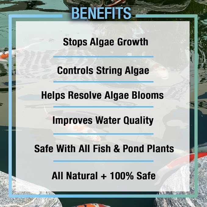 MICROBE-LIFT Algae Control Bundle for Ponds and Water Gardens, Includes ALGA32 Algaway 5.4 (32 oz) + PL Pond Bacteria and Outdoor Water Garden Cleaner (32 oz)