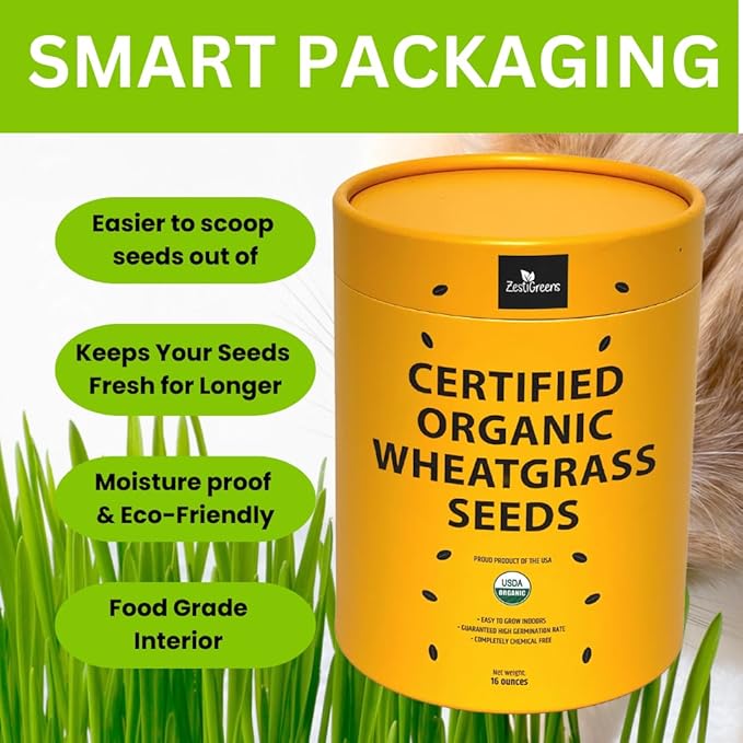 Certified Organic Wheatgrass Seeds – 12,500+ Non-GMO USDA Cat Grass Seeds in Food-Grade Container with Lid for Easy Scooping & Freshness