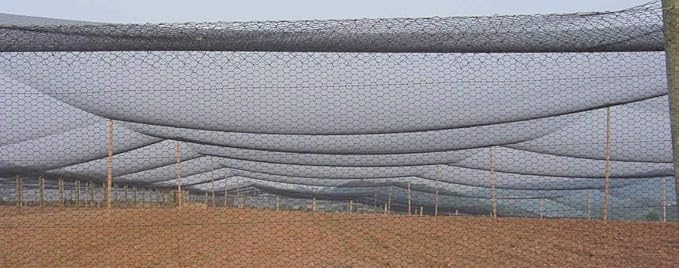 Poultry Netting 1" or 2" Mesh Heavy Knotted Nets Aviary Gamefowl Quail Chicken Bird Block Net Long Lasting Break/Burst 85/245 lb Polyethylene 8-10 Year Lifespan (25' X 50', 2)