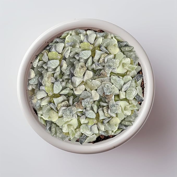 HappyFiller 18 Pound Small Rocks Decorative Tiny Pea Gravels for Aquarium Fish Tank Rocks,Indoor Outdoor Plants Catcus Succulent Top Dressing,Zen Garden,Vase Fillers,Light Green Mix,0.31-0.47"