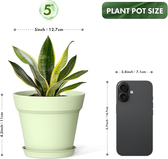 5 Inch Plastic Plant Pots with Drainage Holes and Trays – 6 Pack Small Nursery Pots for Indoor & Outdoor House Plants and Flowers, Seedling Starter Planters, Colorful