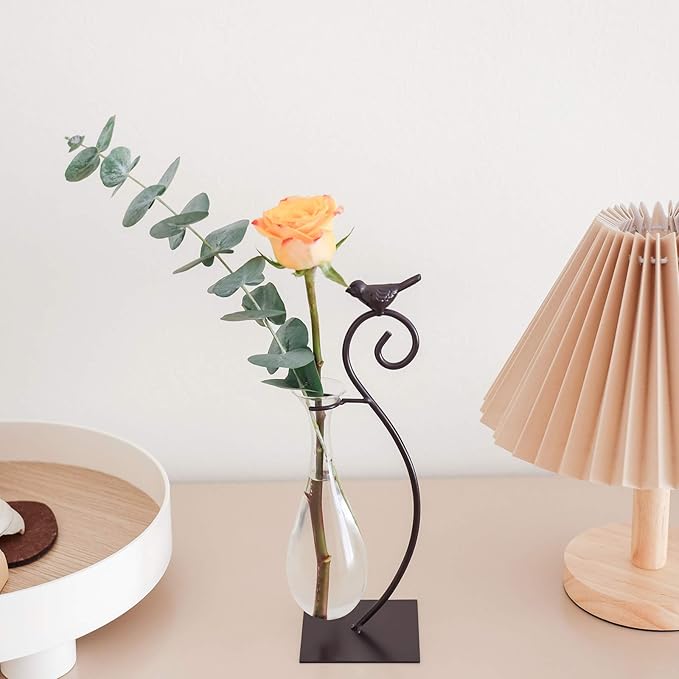 Marbrasse Desktop Glass Planter Hydroponics Vase,Planter Bulb Vase with Holder for Home Decoration,Modern Creative Bird Plant Terrarium Stand, Scindapsus Container (Water Drop Vase)