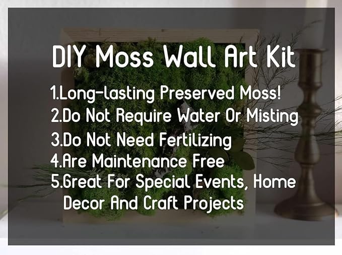 5 Color Mix Pack Preserved Reindeer Moss Natural Green DIY Kit Gardenning Art Wall Decor Florist Decor (1 lb)(Green-01 Green-02 Green-03 Green-04 Green-06)