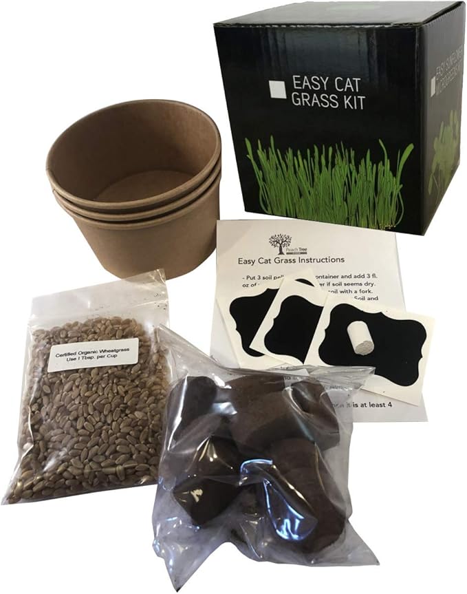 Easy Cat Grass Kit (3 Pack) Just Add Water. Includes Certified Organic Non GMO Wheatgrass Seed, Fiber Soil, Cups Chalkboard Labels. Your Pets Will Love This