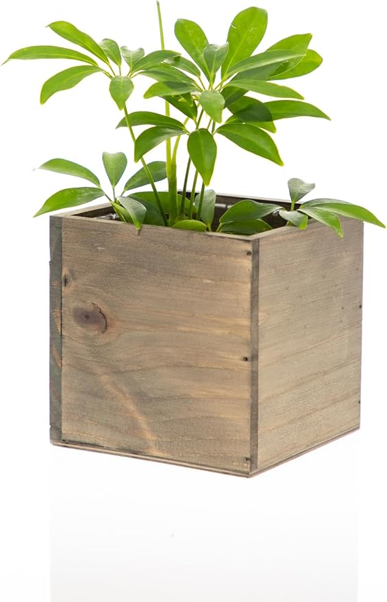 Wooden Planter Box, Rustic Barn Wood with Plastic Liner l Garden Decor l Restaurant and Wedding Decorations l Wedding Bouquets, Table Centerpiece (5x5 Set of 4, Natural)