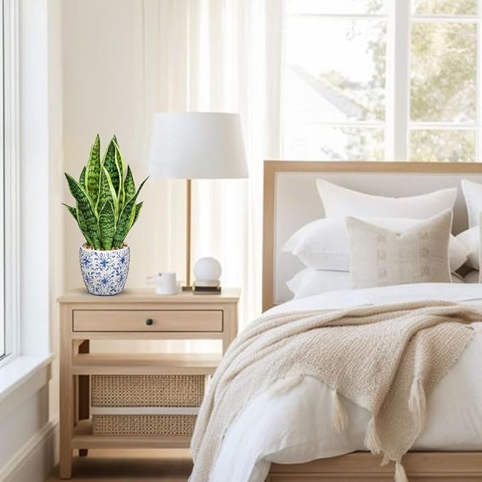 Hollyone Artificial Snake Plant Potted Faux Sansevieria Trifasciata Plants, 15.7" Tropical Fake Plants in Blue and White Porcelain Pots for Home Office Room Indoor Decor Housewarming Gifts