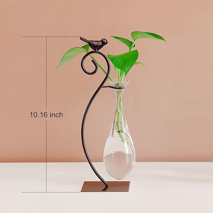Marbrasse Desktop Glass Planter Hydroponics Vase,Planter Bulb Vase with Holder for Home Decoration,Modern Creative Bird Plant Terrarium Stand, Scindapsus Container (Water Drop Vase)