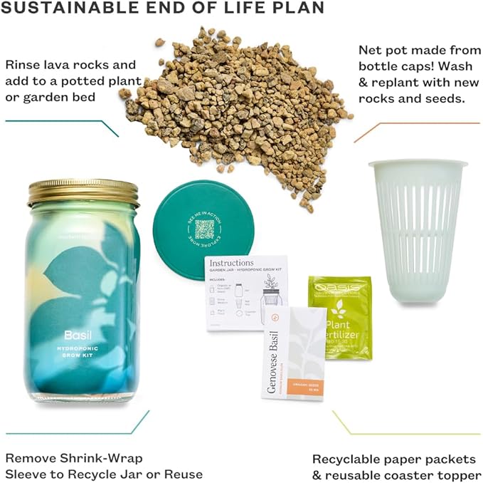 Modern Sprout Mason Garden Jar - Self-Watering Hydroponics Growing System Kit with Organic Herb Seeds - Jar Planter for Indoor Herb Garden - Seed Starter Kit - Home Decor & Gifting - Basil