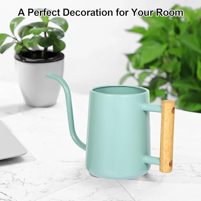 Watering Can Indoor Plants, 35 oz/1000 ml Metal Stainless Steel Watering Can Pot with Long Spout for Indoor House Plants Bonsai Outdoor Garden Flower Decorative (Green
