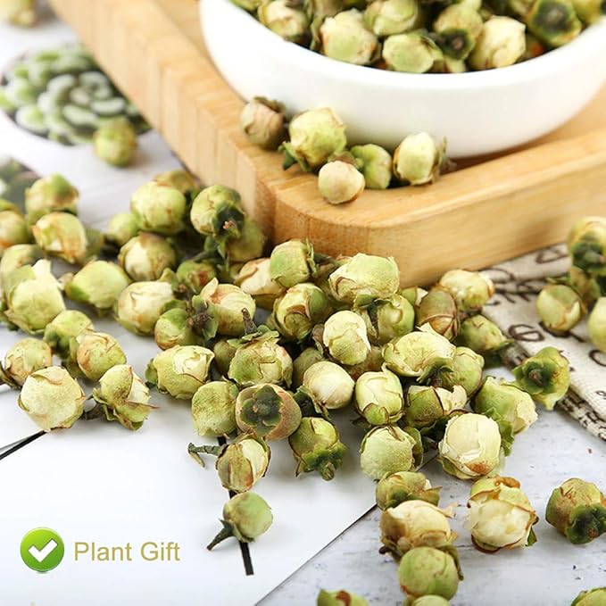 PlantGift Snow Plum Blossom Tea, 60G/2.11oz 雪梅花 Blossom Tea Flower, Chinese Dried Plums, Health Tea