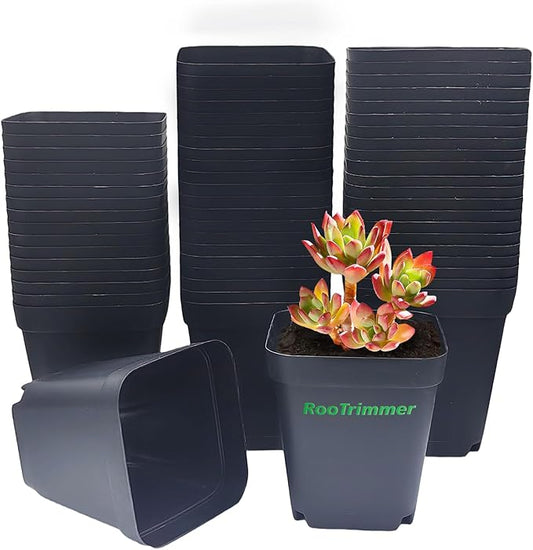 Square Nursery pots 4 Inches 60Pcs, Seedling Plastic Seeds propogation Growing Pots (Black,4Inches,60Pcs)