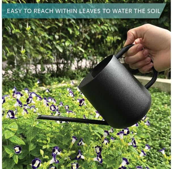 Metal Watering Can for Indoor Houseplants Outdoor Garden Long Sprout Water Can for Succulents Herb Bonsai Modern Garden Tool 33.8oz/1000ml (Dashing Black)