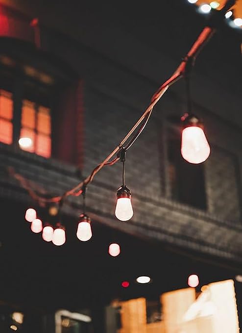 1/8" Stainless Steel Cable,100ft Wire Rope Kit Turnbuckles for Cables Wire, 7x7 Strand Core 3/32" Overmolded to 1/8" Metal Cable for Outdoor Hanging Kit,Garden Fence,Decor, Plant Hanger