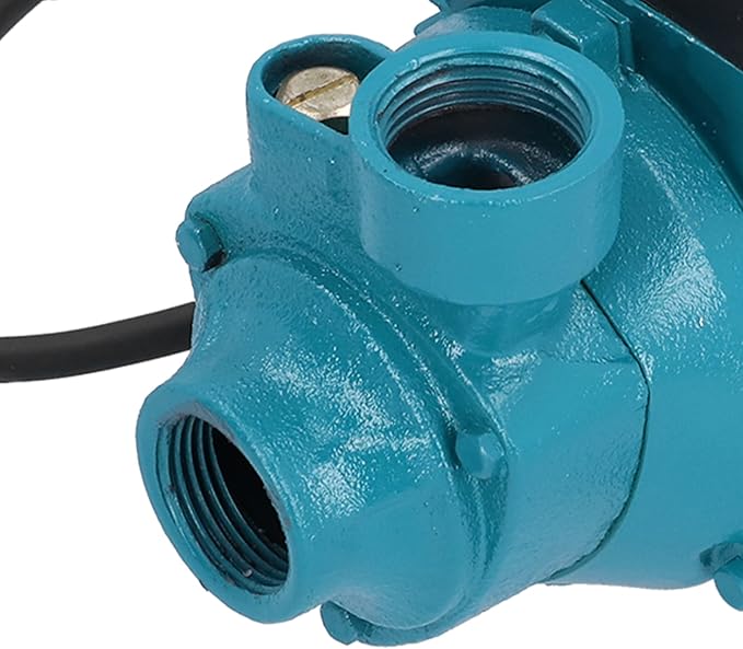 Portable Transfer Water Pump for Clean Water, DC 12V Easy Powered Self-priming Pump for Shallow Well Jet, Irrigation Transfer, Solar Water Supply - 15M Lift