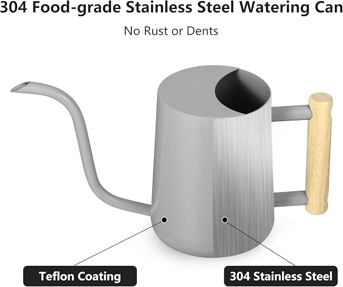 Watering Can Indoor Plants, 35oz Small Watering Can Indoor Stainless Steel Metal Watering Can Modern Decorative Watering Pot with Long Spout for Indoor House Plant Bonsai Garden Flowers (Gray)