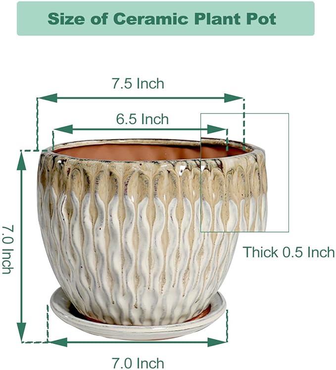 vensovo 7.5 Inch Ceramic Plant Pot with Drainage Holes and Saucer - Large Round Orchid Pot for Indoor Repotting, Ceramic Planter Maintain Air Circulation, Yellow