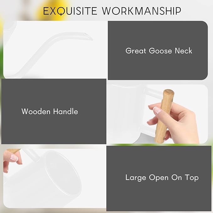 Watering Can Indoor Plants, 35 oz/1000 ml Metal Stainless Steel Watering Can Pot with Long Spout for Indoor House Plants Bonsai Outdoor Garden Flower Decorative (White)